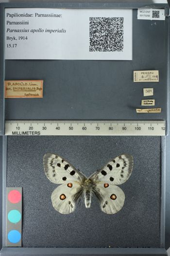 Media type: image;   Entomology 175292